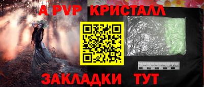 соль ск Кингисепп