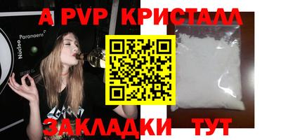 соль ск Кингисепп