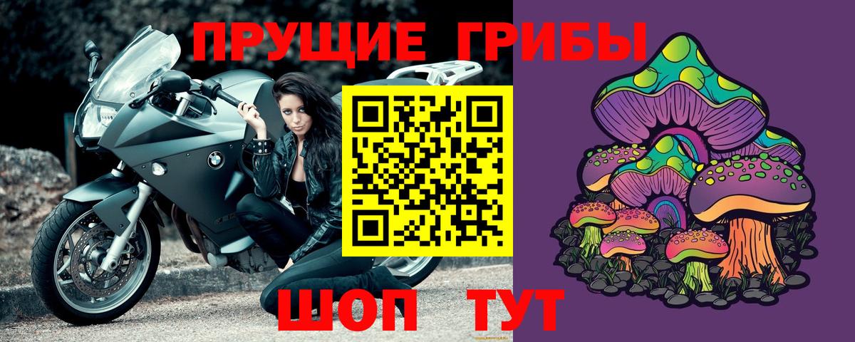 Котельники  Псилоцибиновые грибы GOLDEN TEACHER  как найти наркотики  Вход с VPN 